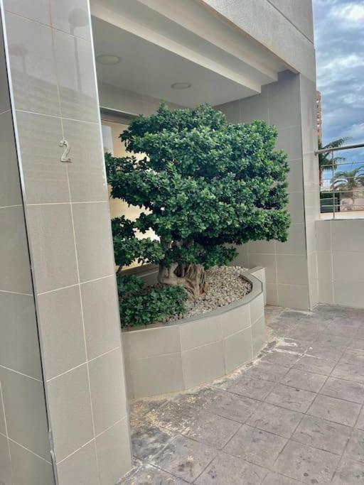 Enjoy Apartment Aparcamiento 5 Min De La Playa Calpe Exterior photo